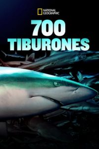 700 Tiburones [Subtitulado]
